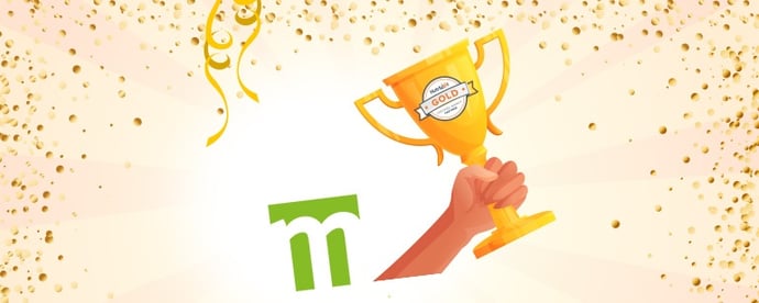 Gold für Mittelhessen! Medialis.net ist HubSpot Gold-Partner Agentur